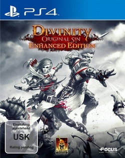 Divinity Original Sin  Enhanced Edition - Playstation 4