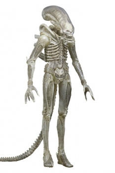 Alien 1979 Actionfigur 1/4 Transculent Prototype Suit Concept 56 cm