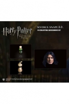 Harry Potter Zubehör-Set 2.0 für Actionfigur 1/6 Snape 1.0