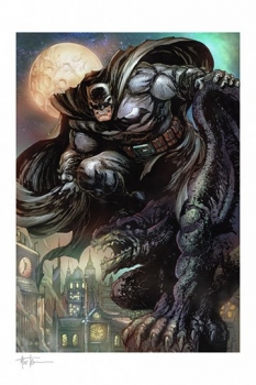 DC Comics Kunstdruck Batman: The Dark Knight 46 x 61 cm - ungerahmt