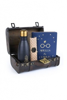 Harry Potter Geschenkbox Trouble Finds Me