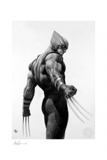 X-Men Kunstdruck Wolverine Black & White Variant 46 x 61 cm - ungerahmt   Weltweit limitiert auf 300 Stück!