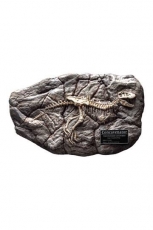 Wonders of the Wild Mini-Replik Concavenator Fossil 31 cm