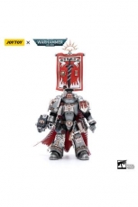Warhammer 40k Actionfigur 1/18 Grey Knights Castellan Crowe 12 cm
