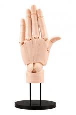 Takahiro Kagami PVC Artist Support Item Hand 1/1 Model/L Pale Orange 21 cm