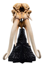Herr der Ringe Mini Statue Skull of a Mumak 15 cm