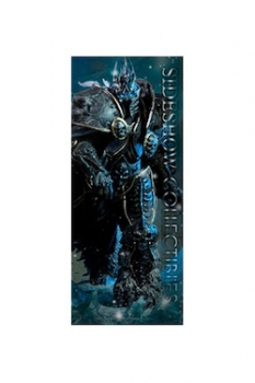 Sideshow Collectibles Banner World of Warcraft Arthas 50 x 122 c