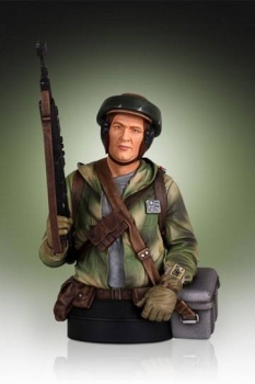 Star Wars Büste 1/6 Endor Trooper 18 cm