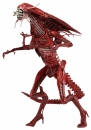 Aliens Ultra Deluxe Actionfigur Genocide Red Queen 38 cm