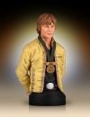 Star Wars Büste 1/6 Luke Skywalker Hero of Yavin 17 cm