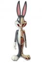 Looney Tunes Vinyl Figur Anatomical Bugs Bunny 30 cm