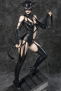 DC Comics Fantasy Figure Gallery Statue 1/6 Catwoman (Luis Royo) 33 cm