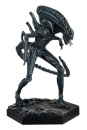 The Alien & Predator Figurine Collection Xenomorph Warrior (Aliens) 14 cm***