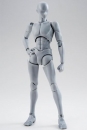 S.H. Figuarts Body Kun Actionfigur Takarai Rihito DX Set Gray Color Ver. 14 cm***