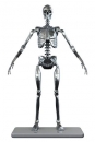 Stainless Steel Mark I Endoskeleton Actionfigur 1/6