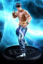 Tekken 5 Dark Resurrection Statue 1/4 Marshall Law 43 cm