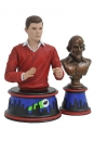 Batman 1966 Büste Dick Greyson 15 cm