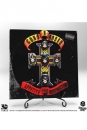 Guns n Roses 3D Vinyl Statue Appetite for Destruction 30 cm