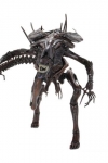 Alien - Die Wiedergeburt Ultra Deluxe Actionfigur Alien Queen 38 cm***