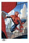 Marvel Kunstdruck The Amazing Spider-Man: #800 46 x 61 cm - ungerahmt Weltweit limitiert auf 300 Stück!