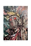 Marvel Kunstdruck Star-Lord 46 x 61 cm - ungerahmt Weltweit limitiert auf 300 Stück!