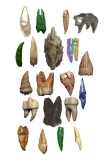 D&D Icons of the Realms Miniaturen vorbemalt Teeth of Dahlver-Nar Bite-Sized Artifact