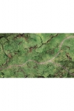 D&D Icons of the Realms: Plains Battle Mat