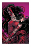 Marvel Kunstdruck Elektra: Woman Without Fear 41 x 61 cm - ungerahmt Weltweit limitiert auf 150 Stück!
