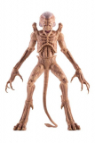 Das Halloween Monster Actionfigur Pumpkinhead 23 cm
