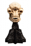 Herr der Ringe Mini Statue Skull of a Cave Troll 21 cm