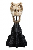 Herr der Ringe Mini Statue Skull of a Fell Beast 21 cm