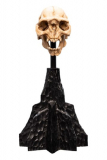 Herr der Ringe Mini Statue Skull of a Moria Orc 13 cm