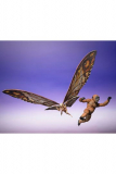 Godzilla x Kong: The New Empire S.H. Monster Arts Actionfiguren 2er-Pack Suko & Mothra