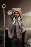 Star Wars: Rebels Büste 1/6 Ahsoka Tano Web Exclusive 15 cm Limitiert auf 500 Stück.