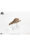 Jurassic Park III Prop Replik 1/1 Velociraptor Resonance Chamber 18 cm  Limitiert auf 300 Stück!