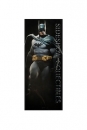 Sideshow Collectibles Banner DC Comics Batman 76 x 183 cm