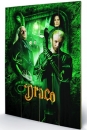 Harry Potter Holzdruck Draco 40 x 60 cm