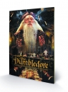 Harry Potter Holzdruck Dumbledore 40 x 60 cm