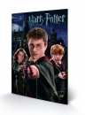 Harry Potter Holzdruck Harry Ron Hermione 40 x 60 cm