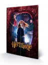 Harry Potter Holzdruck Hermione 40 x 60 cm