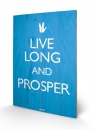 Star Trek Holzdruck Live Long And Prosper 40 x 60 cm