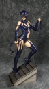 DC Comics Fantasy Figure Gallery Statue 1/6 Catwoman (Luis Royo) SDCC 2014 Exclusive 33 cm